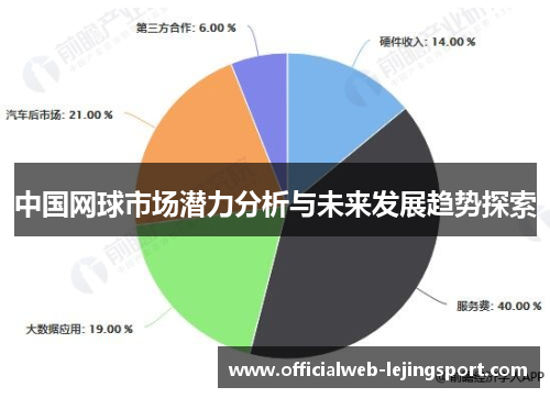 中国网球市场潜力分析与未来发展趋势探索